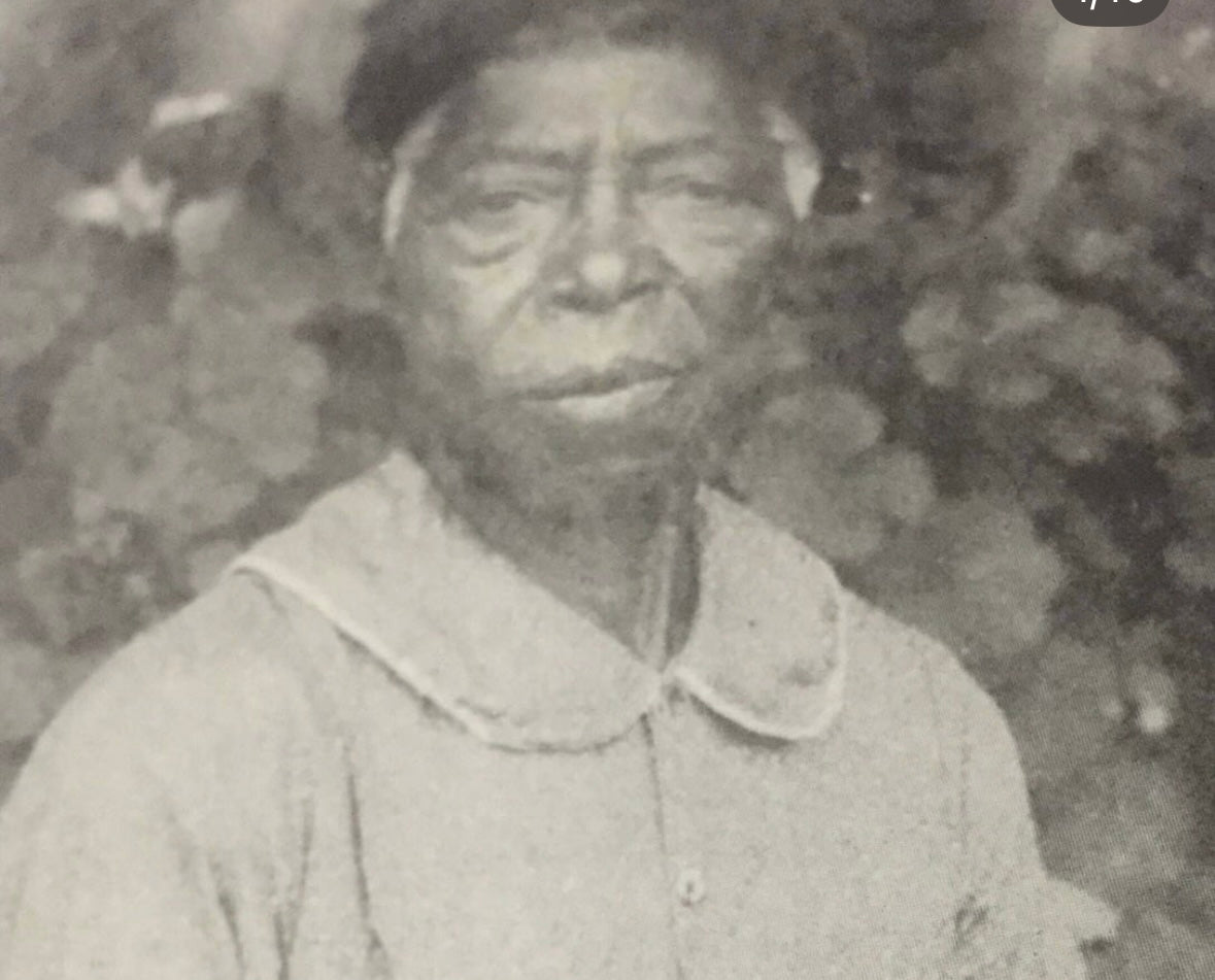 Ancestor Alignment Reading Connect. Heal. Rise (30 mins)